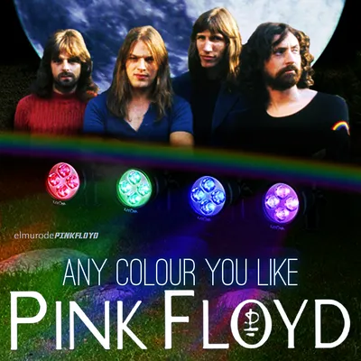 Обои для рабочего стола Pink Floyd мужчина Музыка Знаменитости