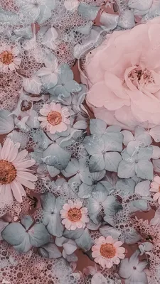 Aesthetic Floral Wallpapers - Wallpaper Cave