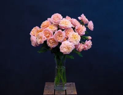 Кустовые пионовидные розы Бомбастик - купить в Москве | Flowerna