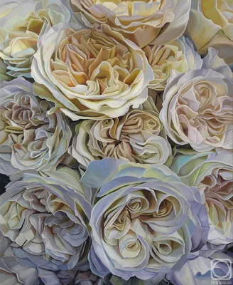 Жёлтые пионовидные розы | Yellow aesthetic, Flowers, Beauty