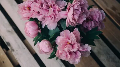 Скачать 1920x1080 пионы, цветы, букет, розовый обои, картинки full hd,  hdtv, fhd, 1080p