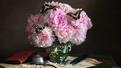 Обои Цветы Пионы, обои для рабочего стола, фотографии цветы, пионы, букет,  ваза, бабочки Обои для рабочего стола, скачать обои картинки заставки на  рабочий стол.