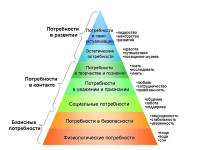 Пирамида Маслоу потребности человека | иерархия и виды потребностей теории  Абрахама Маслоу