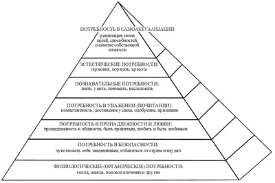 Пирамида Маслоу: как повысить мотивацию | Нижегородская правда