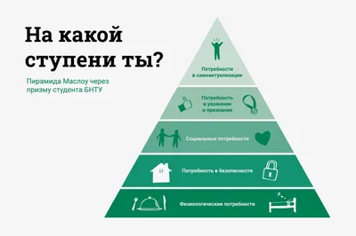 Пирамиды Гизы в Египте 🌴: где находятся, как добраться, что посмотреть —  Tripster.ru