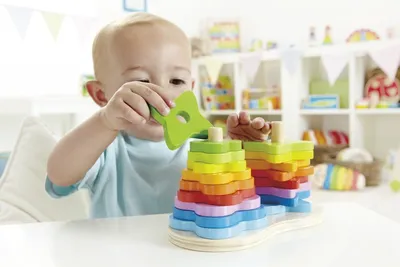 Развивающий набор №3 пирамидки+сортер | Интернет-магазин детских игрушек  KidLand.ru