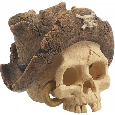 Огненный пиратский череп в …» — создано в Шедевруме