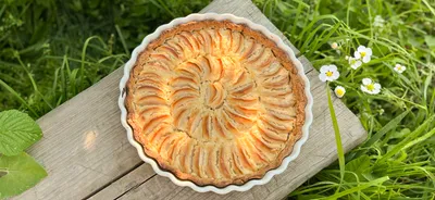 Рецепт яблочного пирога в домашних условиях: пошаговый способ приготовления  с фото, ингредиенты, количество порций и стоимость
