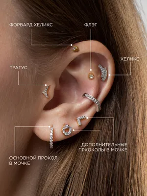 Как правильно называются разные проколы в ушах?