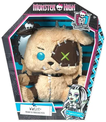 Monster High Secret Creepers Crypt. Крипт для питомцев Монстер Хай: 400  грн. - Куклы и пупсы Степная на Olx