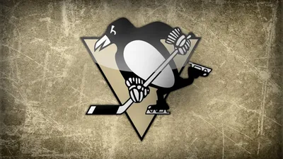 Aksisur Футболка НХЛ Питтсбург Пингвинз (NHL Pittsburgh Penguins)
