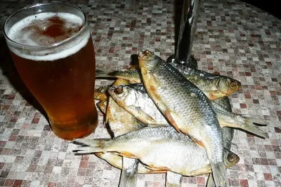 Здоровое питание: пиво с рыбой
