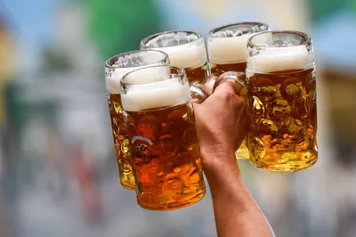 Немецкое пиво: пилснер и хеллес, майбок и доппельбок, хефевайцен и  дункельвайцен, берлинер вайссе и гозе