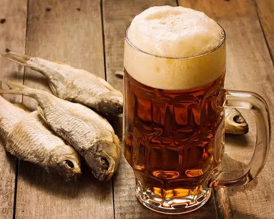 Россияне переключились на импортное пиво из-за резкого роста акцизов — РБК