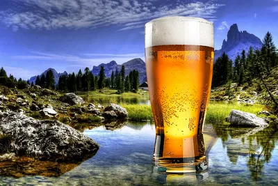 Пиво Витязь Ульяновское светлое фильтрованное 4.5%, 450мл - купить с  доставкой в Москве в Перекрёстке