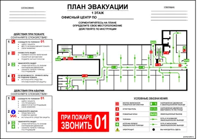План эвакуации на пленке 300х400 А3 купить в Москве цена 1 210 рублей  артикул 700212 от производителя ТЦПБ