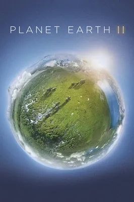 Планета Земля Из Космоса Ночью — стоковые фотографии и другие картинки  Глобус - Глобус, Планета Земля, Планета - iStock
