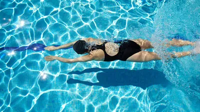 Плавание как искусство: Эстетика движений и выражение через воду. Дзен. |  Школа плавания Let's Swim (СПб) | Дзен