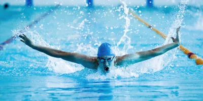 Плавание. Правильный выбор экипировки для начинающих и продвинутых  спортсменов. Отличия и особенности