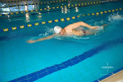 Польза и вред плавания в бассейне для позвоночника