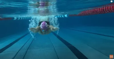 Плавание для детей: школа плавания, обучение плаванию детей дошкольного  возраста и школьников в Санкт-Петербурге