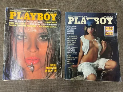 I found bulldog in the Mafia II collectible playboy magazines :  r/AdmiralBulldog