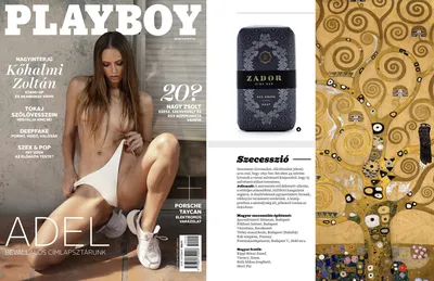 Affiches du magazine Playboy - Fineartsfrance