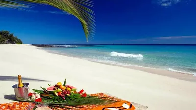 Романтические места Майами | Майами и пляжи.com | Большой Майами и Miami  Beach