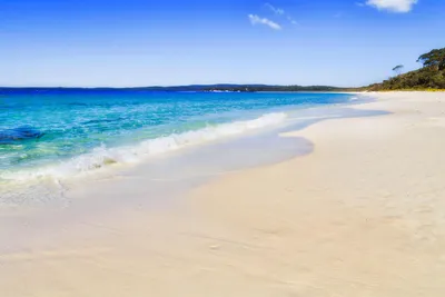 Самые впечатляющие пляжи мира с розовым песком | myDecor