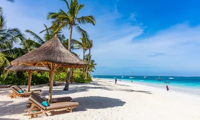 Ожидание и реальность. Как на самом деле выглядят райские пляжи Занзибара |  Travel Breeze | Дзен