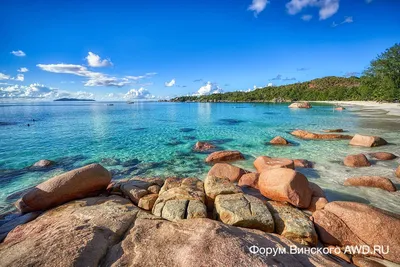 Пляж Кози Бич (Cosy Beach) в Паттайе. Наши впечатления от пляжа, плюсы и  минусы | Другая Страна | Дзен