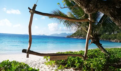 Как выбрать отель и пляж на Сейшелах: мастер-класс от Coral Travel |  Ассоциация Туроператоров