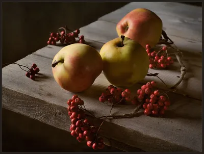 Плоды осени и фрукты осени цветов органические на сборе осени таблицы  Стоковое Изображение - изображение насчитывающей здоровье, аппликатора:  207561683