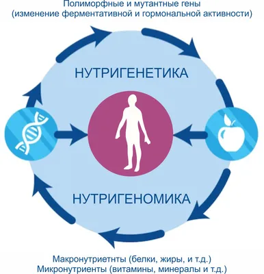 Гены по Льюину. 5-е изд | Голдштейн Эллиотт, Килпатрик Стивен - купить с  доставкой по выгодным ценам в интернет-магазине OZON (596781903)