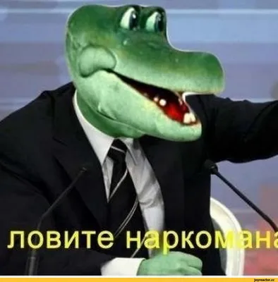 Ген алкоголизма». Сколько процентов людей рискуют окончательно спиться -  Газета.Ru