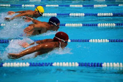 10 пловцов представят Беларусь на чемпионате России по плаванию