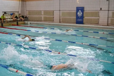 Эффективные упражнения с резиной для пловцов и триатлетов. Анастасия  Черненко - YouTube