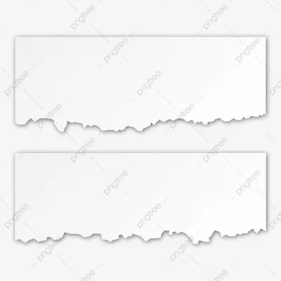 Paper Borders Png - Рамки Для Ворда Черно Белые, Transparent Png -  566x800(#4878497) - PngFind