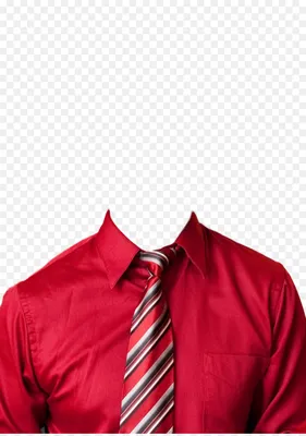 Shirt Red png download - 1131*1600 - Free Transparent Shirt png Download. -  CleanPNG / KissPNG