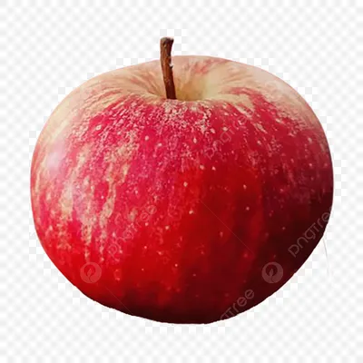 яблоко с прозрачным фоном PNG , ферма, Десерт, сельское хозяйство PNG  картинки и пнг PSD рисунок для бесплатной загрузки