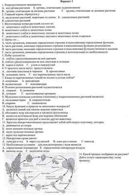Пономарева, Корнилова, Кучменко Биология 6 класс. Параграф 4. - YouTube