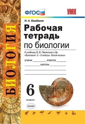 Плакаты Растения, грибы, лишайники. Биология 6 класс (id 107587208), купить  в Казахстане, цена на Satu.kz