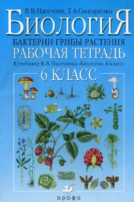 6 класс. Проект по БИОЛОГИИ 👍🌞⛺🏞. Органы растений 🌷🍀🌿🌳🍁🍂🍃🌺🌻🌼💐  | МЕДАЛИСТ | Дзен