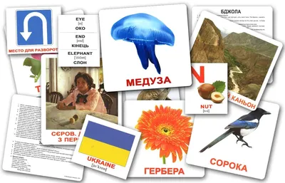 Карточки \"Чтение по Доману\" (20 шт.) на Украинском языке