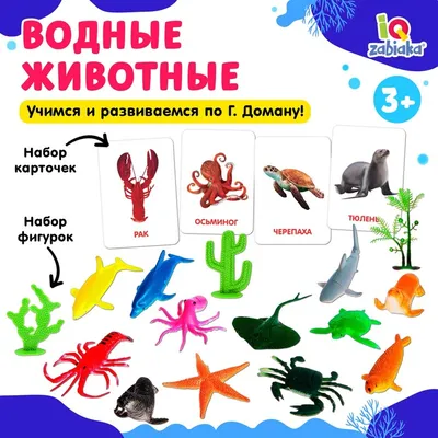 Развивающий набор фигурок для детей «Дикие животные» с карточками, по  методике Домана купить в Чите Игрушки в интернет-магазине Чита.дети  (4474172)