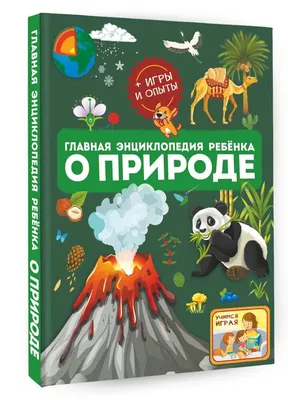 Картотека дидактических игр по экологии для дошкольников 5–6 лет (8 фото).  Воспитателям детских садов, школьным учителям и педагогам - Маам.ру