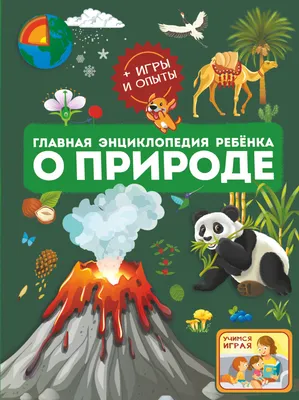 Методы экологического воспитания дошкольников | НАУКА И ОБРАЗОВАНИЕ | Дзен