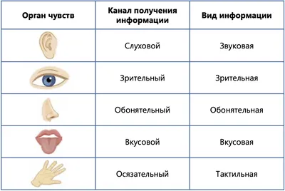 В 7 \"а\" классе прошел урок информатики на тему:\"Информация и ее свойства.  Информационные процессы\". Провела урок учитель информатики… | Instagram