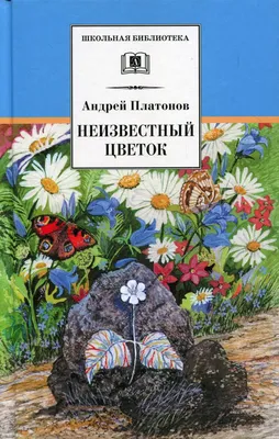 Книга Неизвестный цветок: рассказы и сказки - купить детской художественной  литературы в интернет-магазинах, цены на Мегамаркет | 9616670