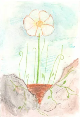 Рисунок к произведению неизвестный цветок простым карандашом (49 фото) »  Рисунки для срисовки и не только